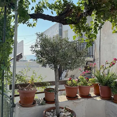 House Of The Arts * باروس